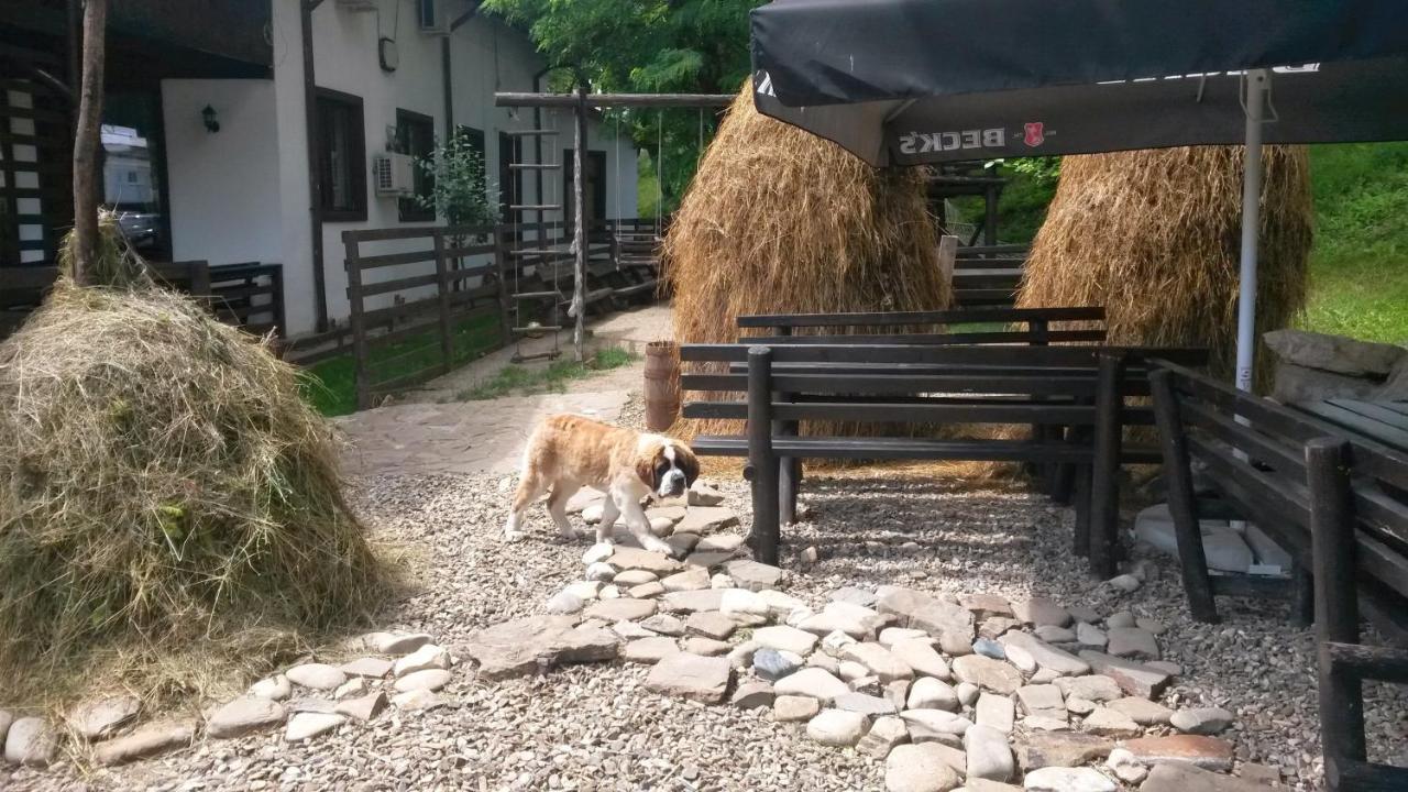 Pension Casa Drumetului Piatra Neamţ Exterior foto