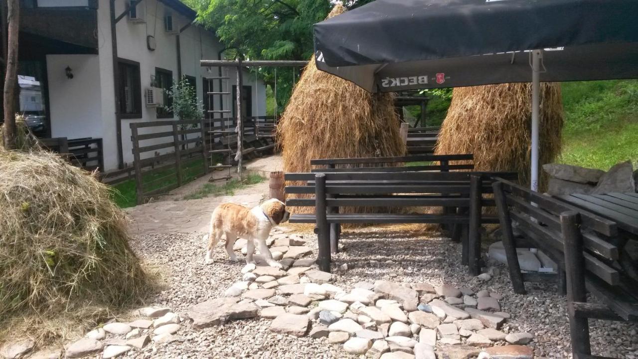 Pension Casa Drumetului Piatra Neamţ Exterior foto